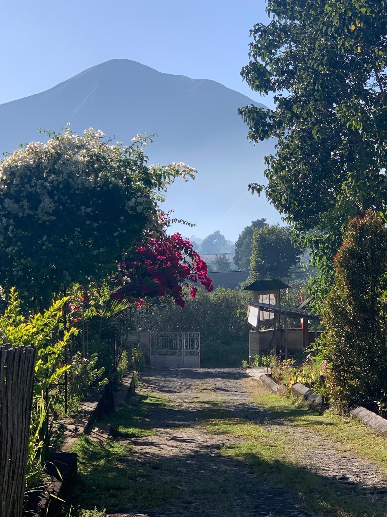 Lembah Rinjani & Resto Syariah By Ecommerceloka * Sembalunlawang