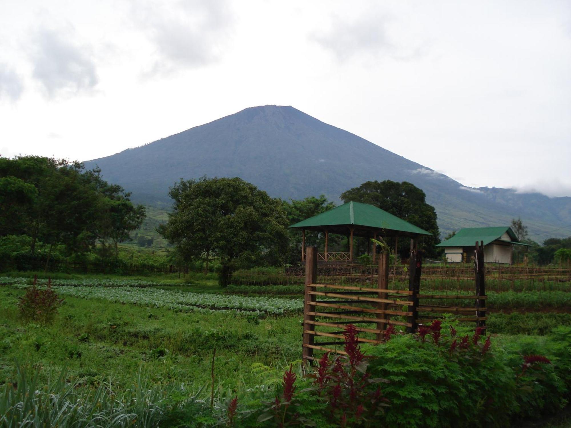Lembah Rinjani & Resto Syariah By Ecommerceloka Homestay